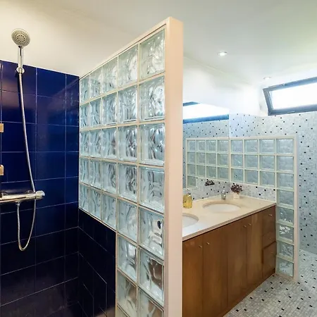 Azores Woods São Vicente Ferreira