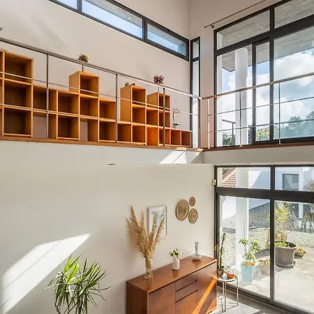 Azores Woods * São Vicente Ferreira