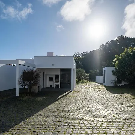 Azores Woods