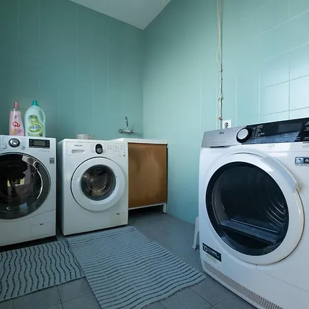 Azores Woods * São Vicente Ferreira