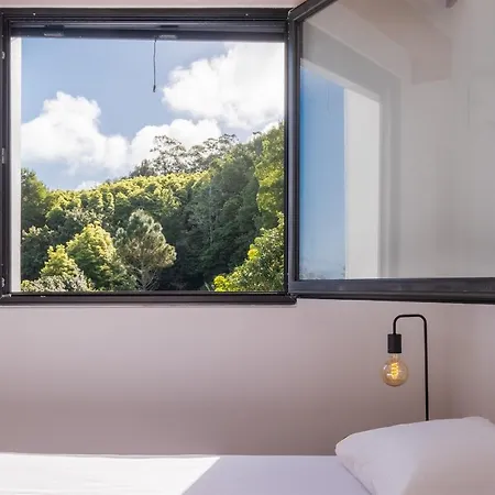 Hébergement de vacances Azores Woods São Vicente Ferreira