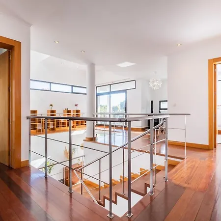 Azores Woods São Vicente Ferreira