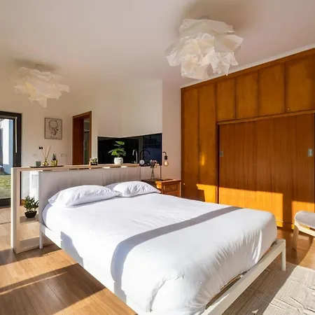 Azores Woods * São Vicente Ferreira