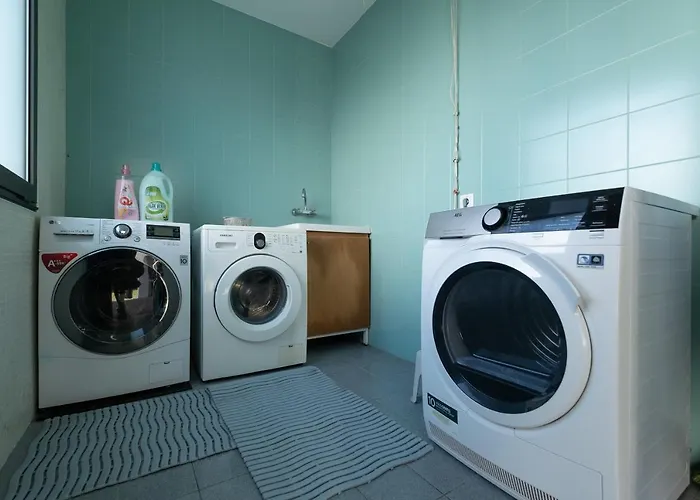 Azores Woods * São Vicente Ferreira